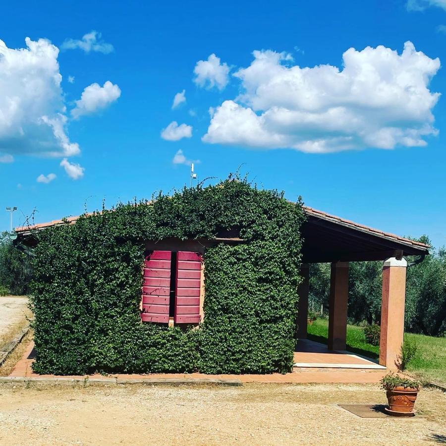 Tenuta Agricola Fraschiera Villa Massa Marittima Exterior photo