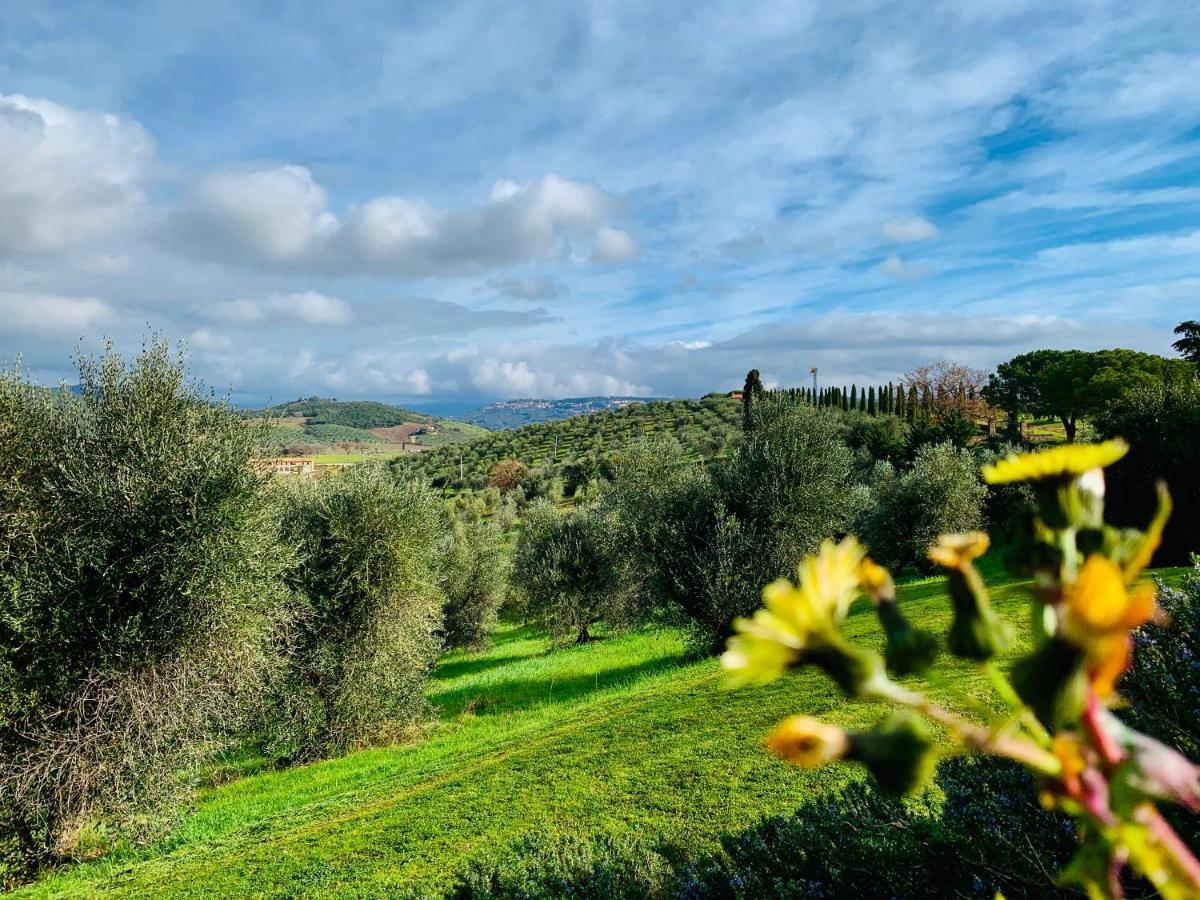 Tenuta Agricola Fraschiera Villa Massa Marittima Exterior photo