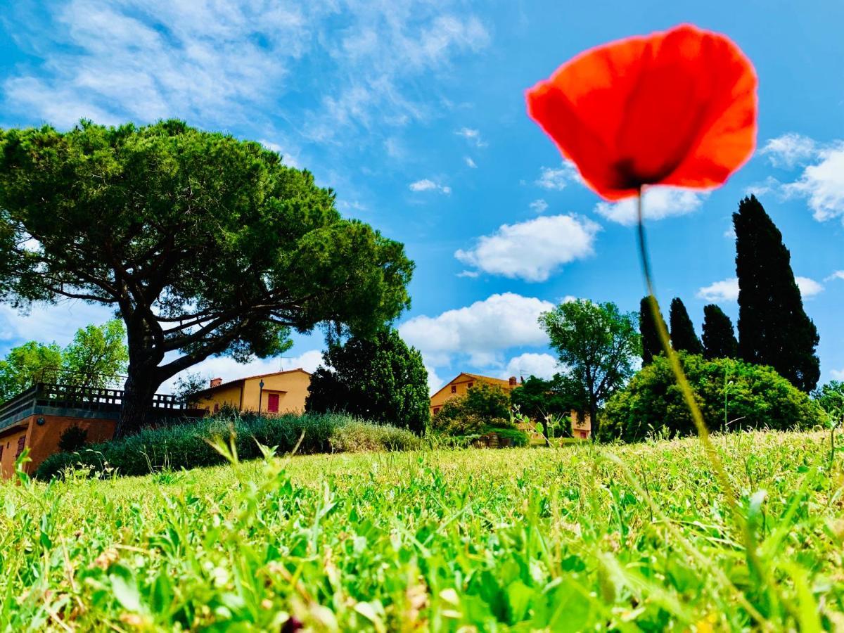 Tenuta Agricola Fraschiera Villa Massa Marittima Exterior photo